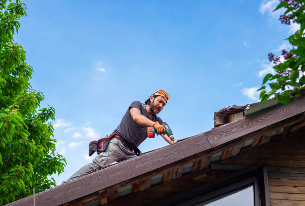 Best Sheet Metal Roofing  in Edwardsville, KS